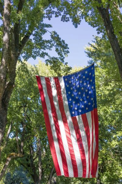 Colorado, Crawford Flag between two trees